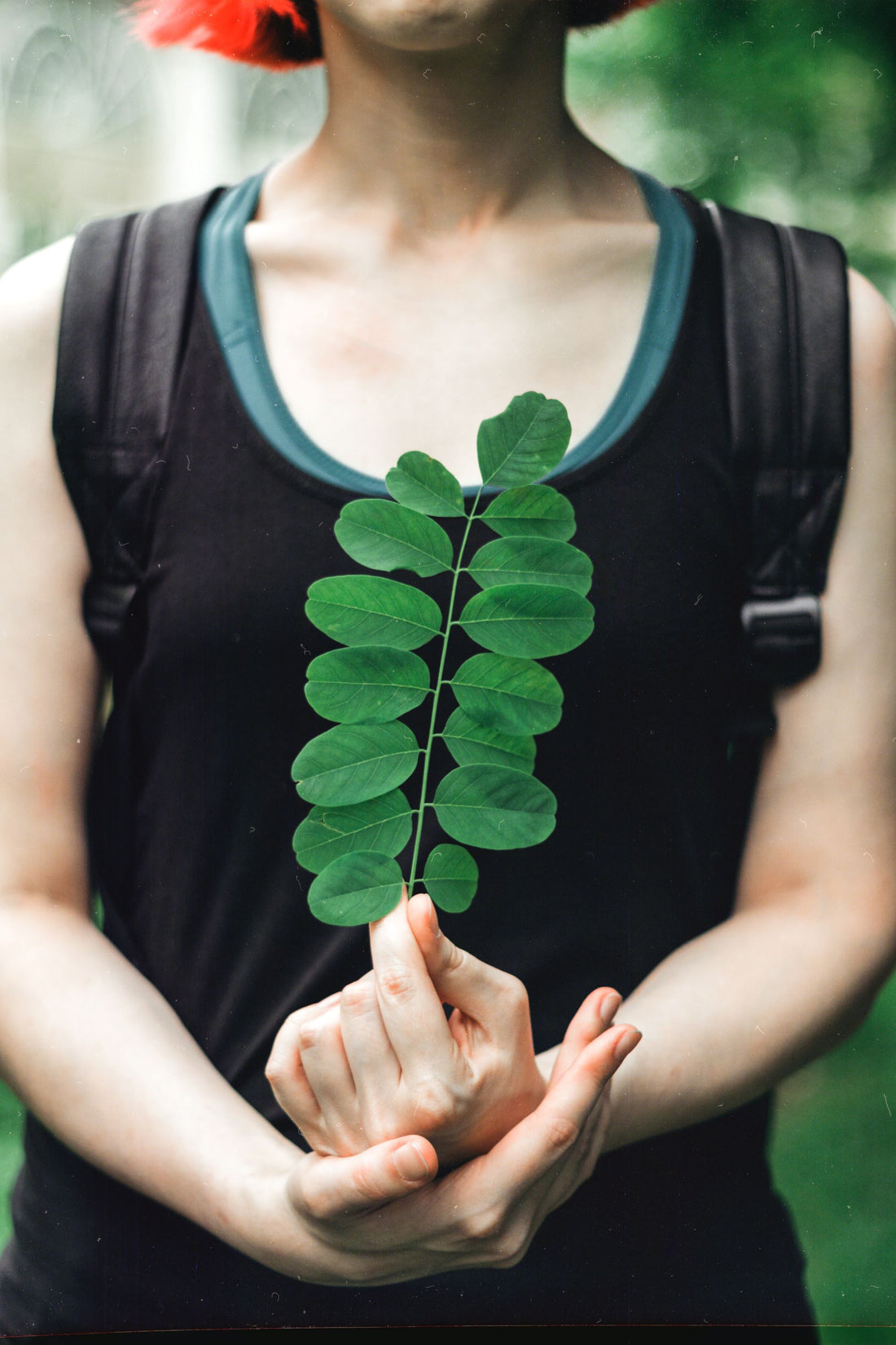 Moringa Oleifera: The Green Superfood Revolutionizing Your Health